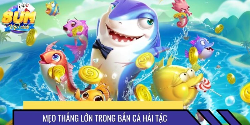 Chiến lược săn sinh vật hải tặc đáng nhớ