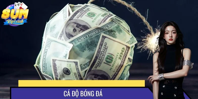 Cá Độ Bóng Đá SUMVIP Trực Tiếp, Nhận Thưởng Về Tay Tức Thì