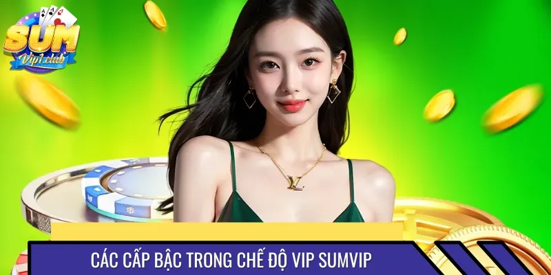 Các cấp bậc cụ thể của chế độ hội viên VIP
