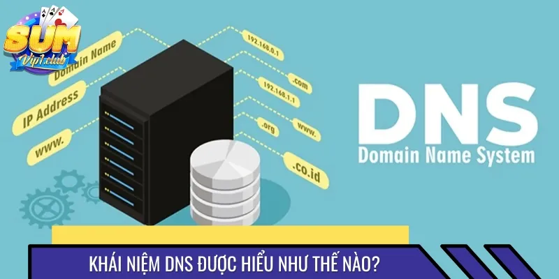 DNS có chức năng chuyển đổi tên miền để kết nối website dễ dàng