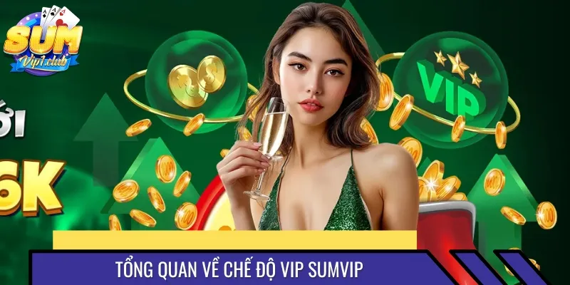 Chế độ hội viên bậc VIP SUMVIP ưu đãi dành cho người chơi trung thành